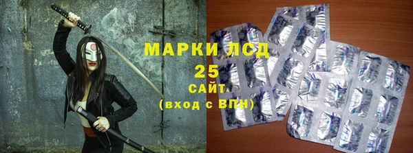 дурь Заводоуковск