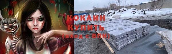 дурь Заводоуковск