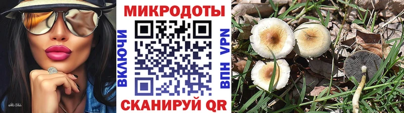 Купить где  Берёзовка  Галлюциногенные грибы Psilocybine cubensis 