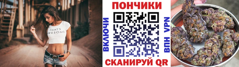 Купить где Берёзовка Конопля OG Kush